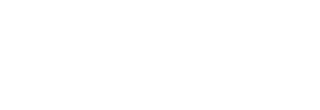 Duel logo